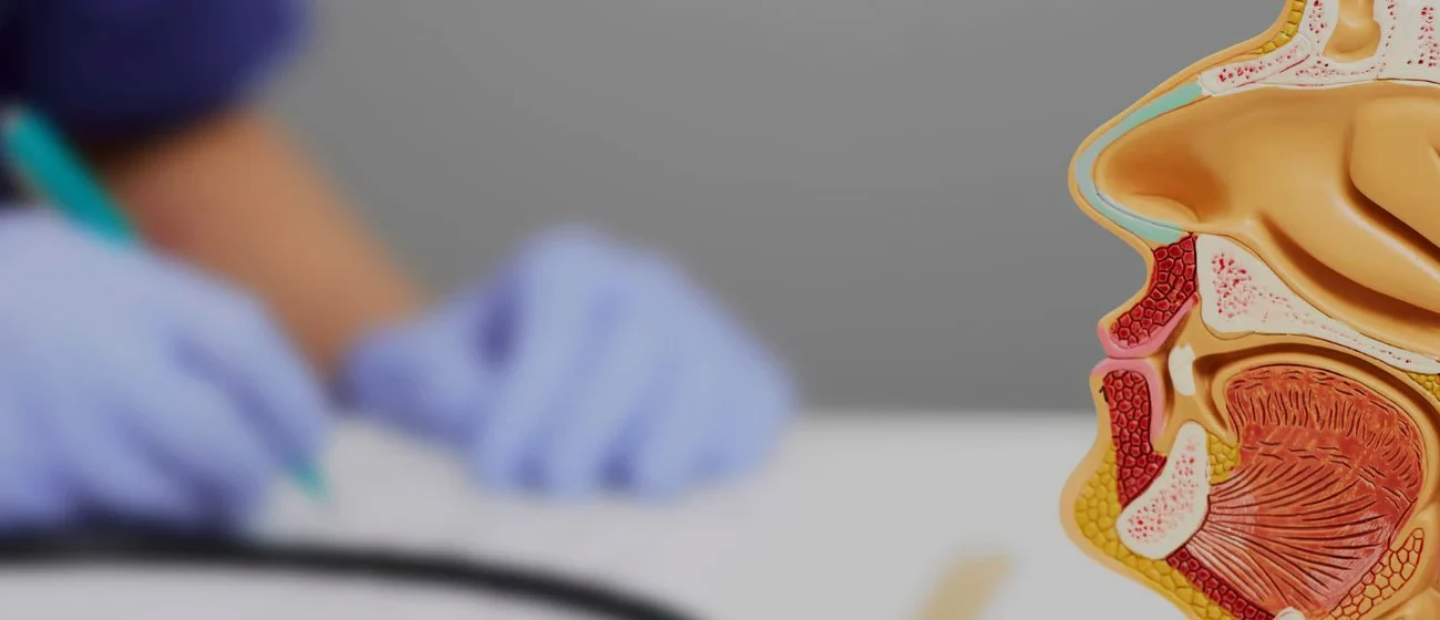 Отоларинголог у Вінниці: професійна допомога при захворюваннях вуха, горла і носа